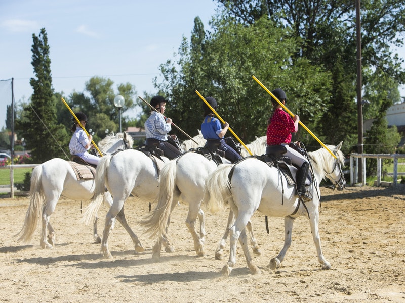 photo n°1 de Séminaires & Événements d’Entreprise à Arles – SOWELL HÔTELS L’Olivier 4*