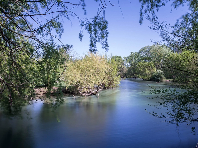 photo n°6 de Séminaires & Location de Salles au Domaine de la Petite Isle – L’Isle-sur-la-Sorgue en Provence