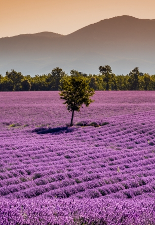Destination Campagne
