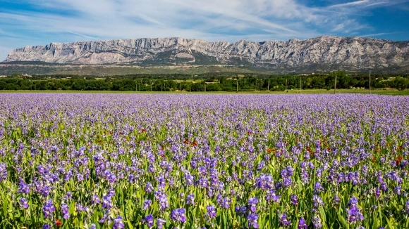 La région PACA